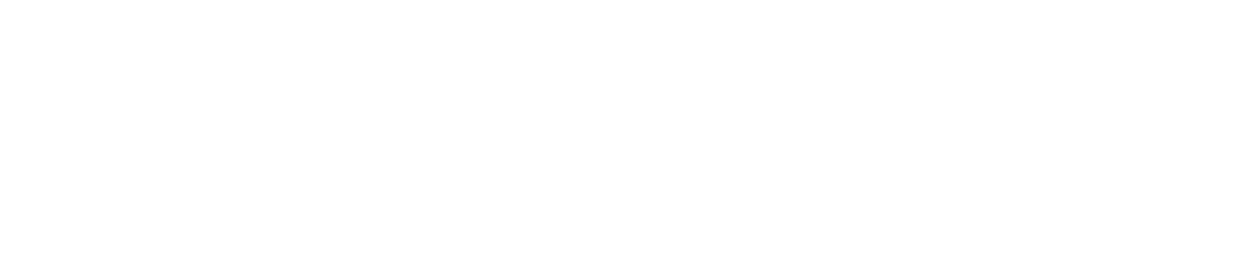 Gruppo Piemme Car